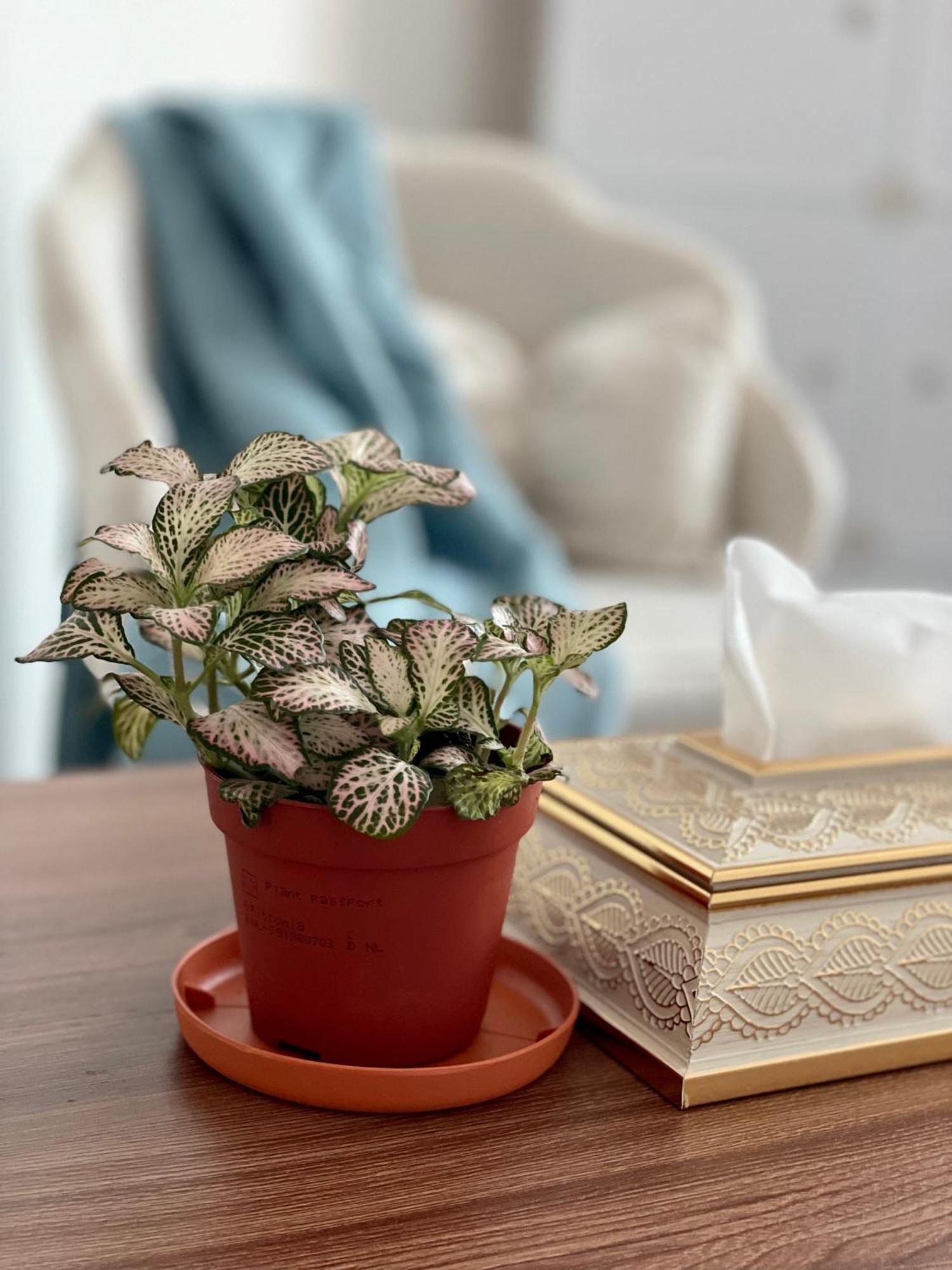 Stress-free Cozy Private - Heart Of The *